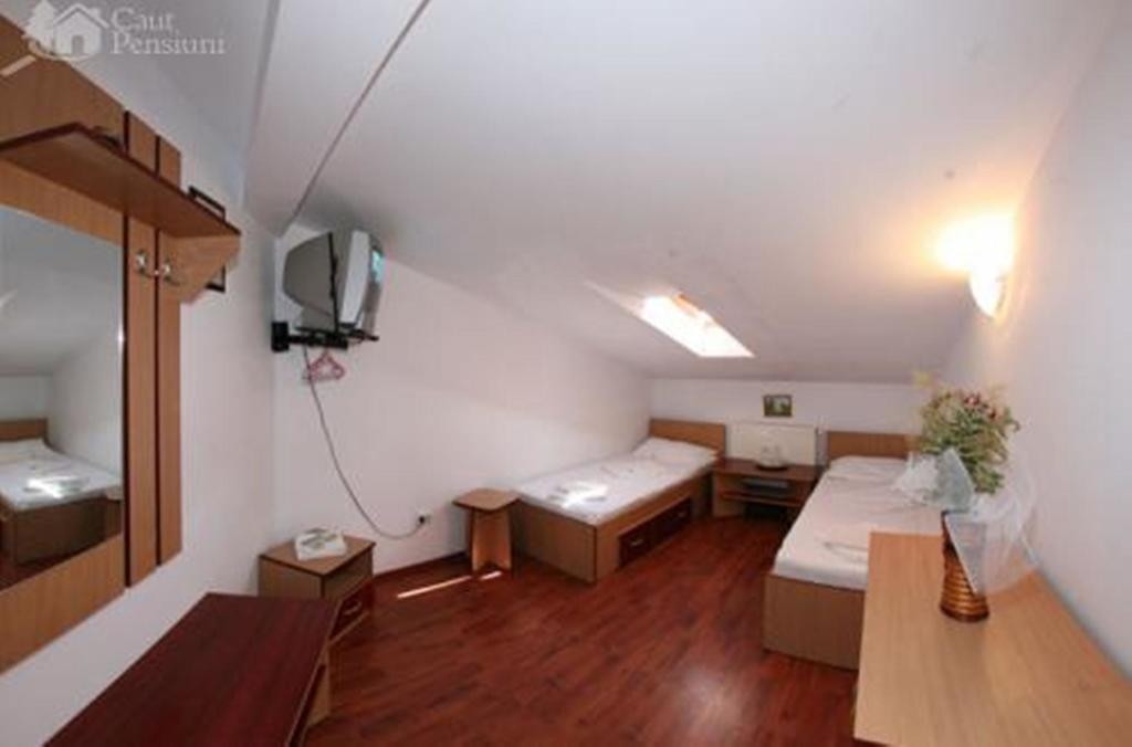 Pensiunea Ramona Tulcea Pokoj fotografie