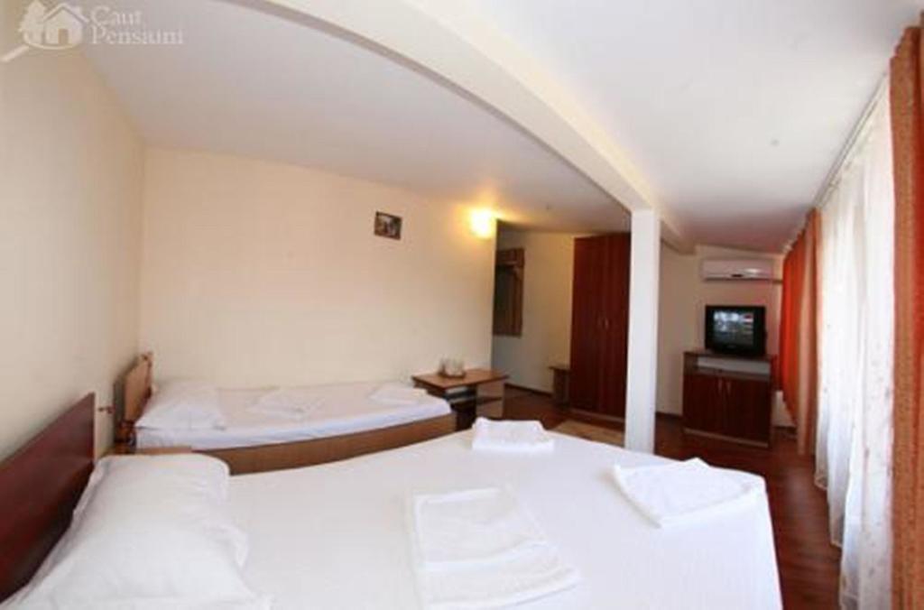 Pensiunea Ramona Tulcea Exteriér fotografie